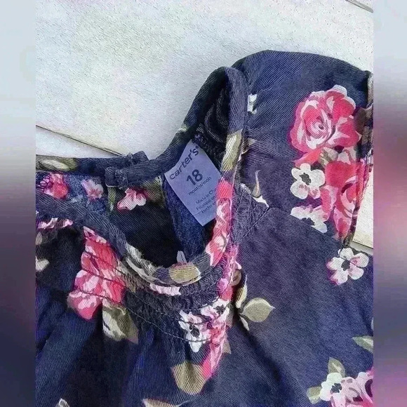 Carter's Baby Girl Floral Sleeveless Smocked Dress Blue Pink Size 18 M - Picture 3 of 5